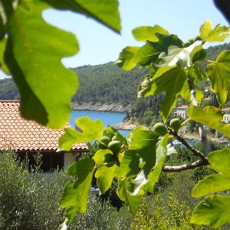 Apartments Ida Sveta Marina Drenje  Екстер'єр фото