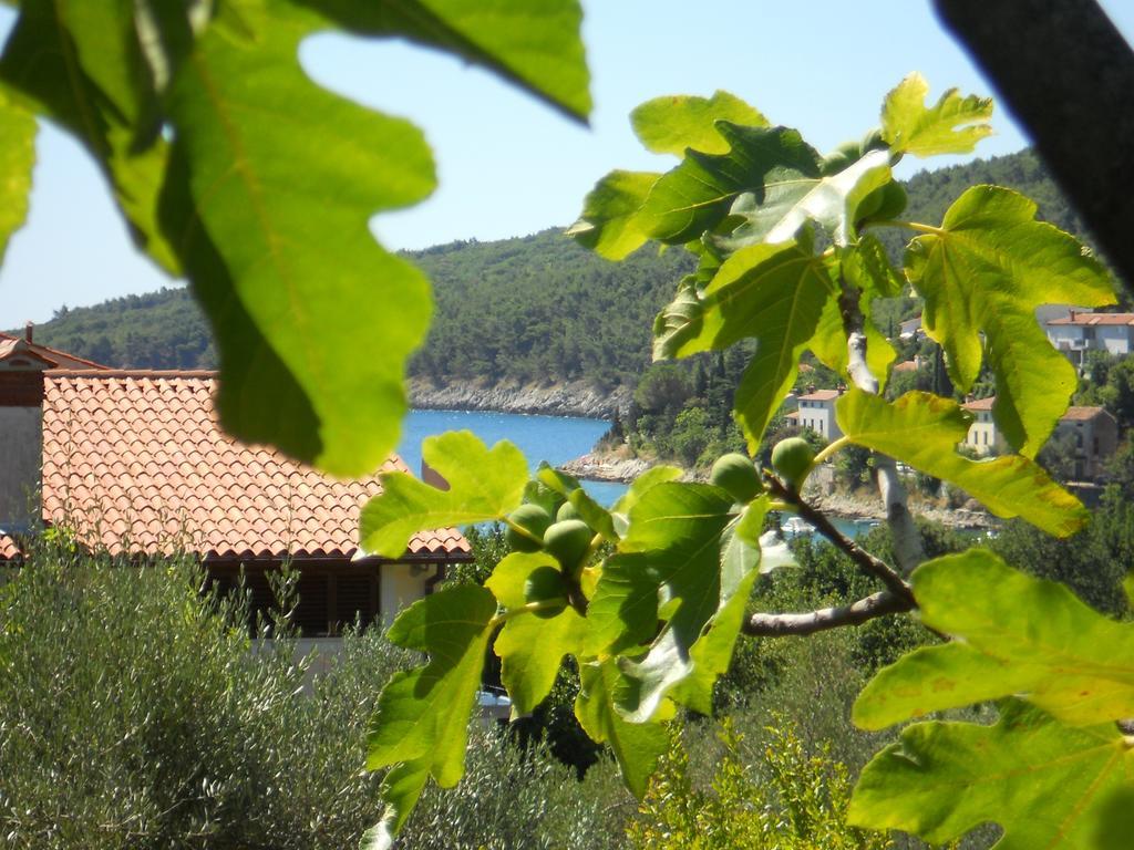 Apartments Ida Sveta Marina Drenje  Екстер'єр фото